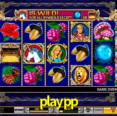 Login Seguro playpp